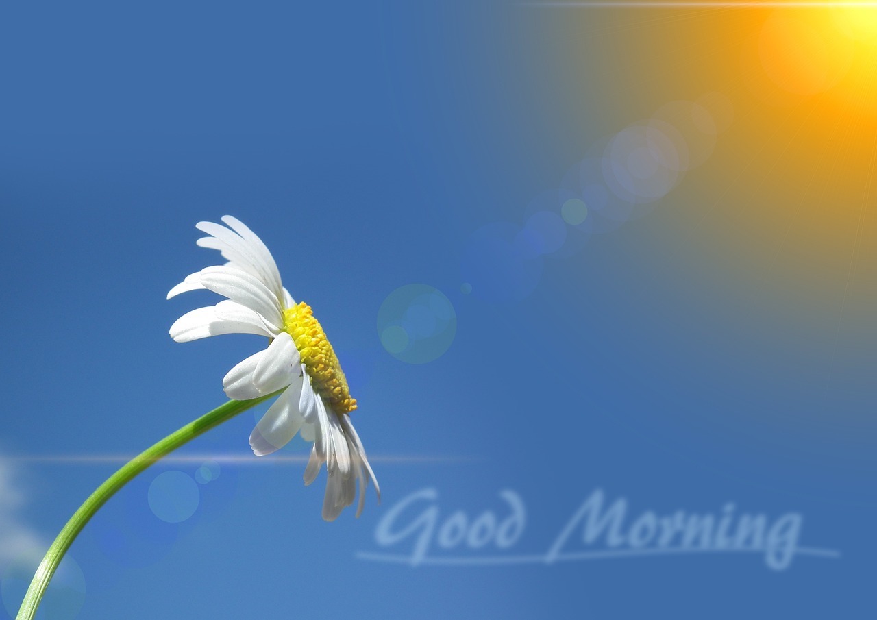 good morning immagine con fiori e sole 